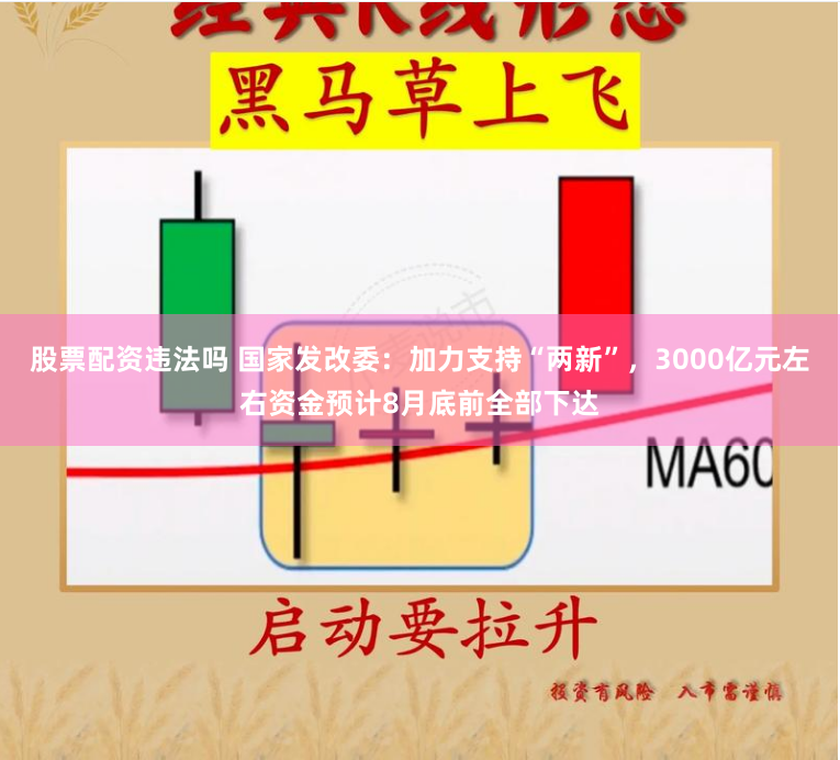 股票配资违法吗 国家发改委：加力支持“两新”，3000亿元左右资金预计8月底前全部下达