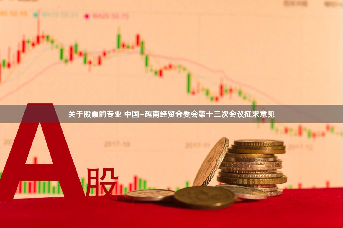 关于股票的专业 中国—越南经贸合委会第十三次会议征求意见