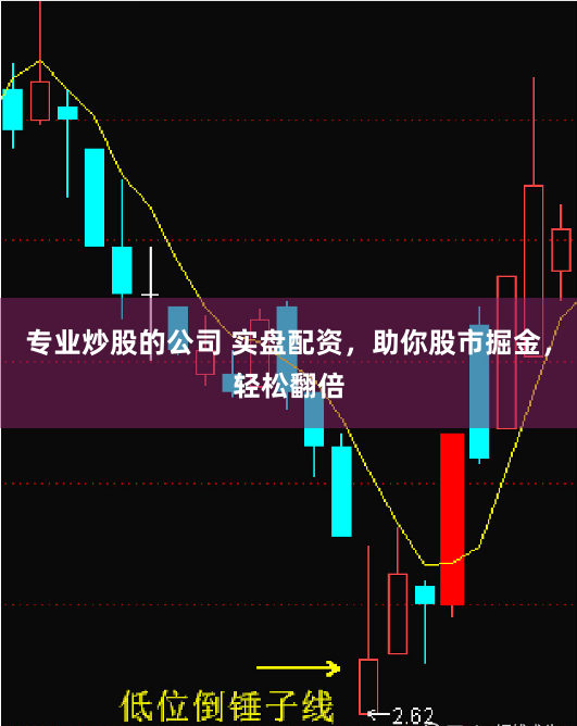 专业炒股的公司 实盘配资，助你股市掘金，轻松翻倍