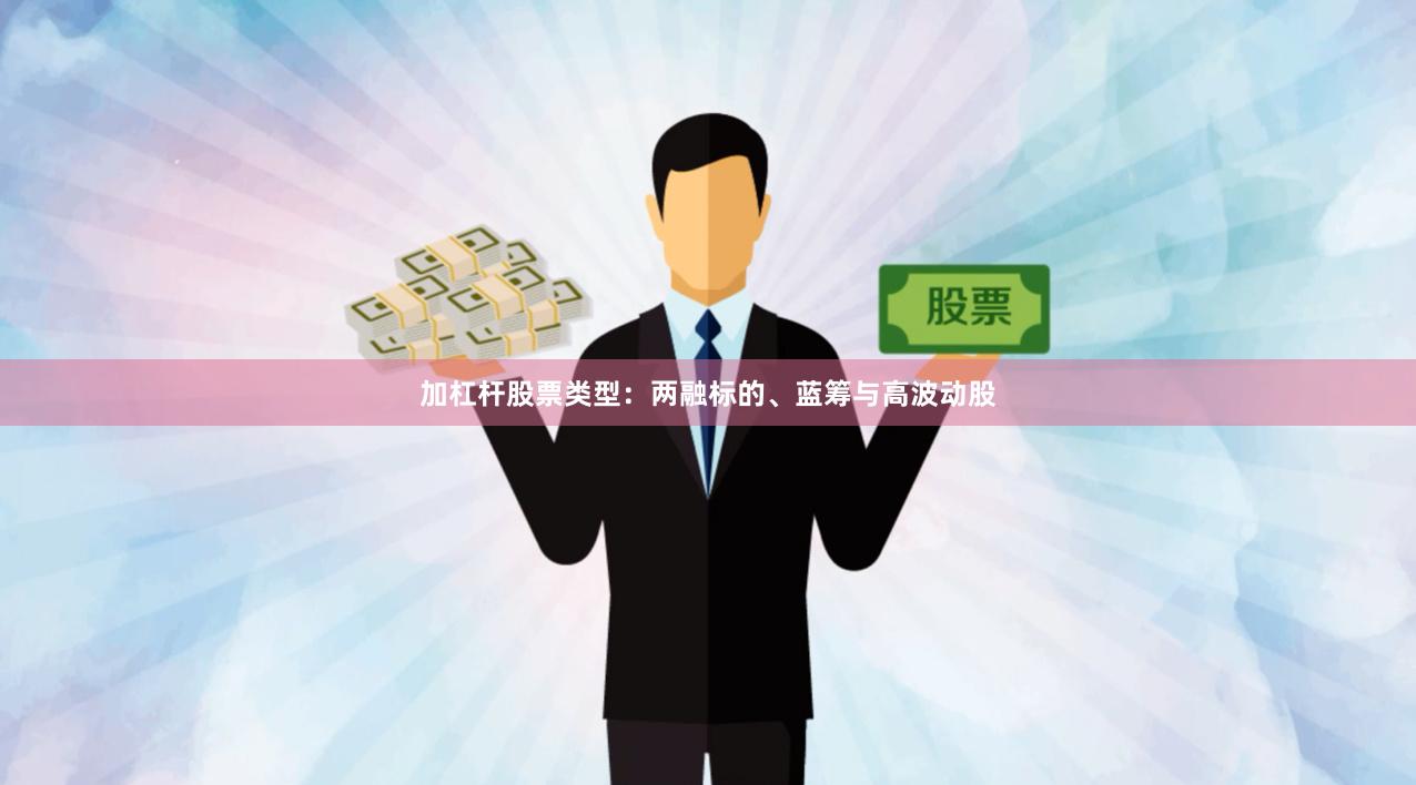 加杠杆股票类型:两融标的、蓝筹与高波动股
